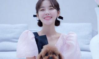 一闪一闪亮星星票房