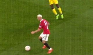 巴西队历届世界杯阵容 巴西队历届世界杯阵容